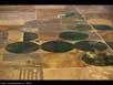 Irrigation circles 