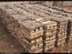 Firewood pile 