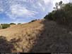 Panorama: a distinct ecotone 