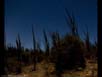Panorama: Madagascar spiny desert 