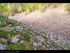 Felsenmeer microclimates 2 