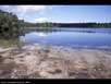 Coastal plain pond 