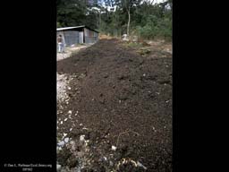 Coffee bean hulls being composted