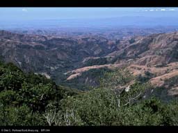 Deforestation during the dry season, Costa Rica