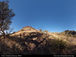 Panorama of two very different plant communities in an Arizona valley