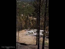 Forest fire: incinerated home