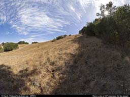 Panorama of Ecotone on serpentine soil in California