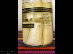 Hearts of palm in jar