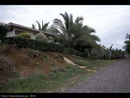House within banana plantation, Costa Rica