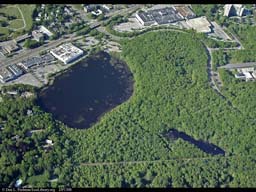 Pond suffering from runoff (aerial), Massachusetts, USA