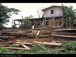 Sawmill by a nature preserve, Costa Rica