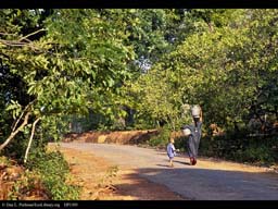 Carrying water jugs, India