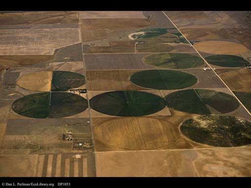 Irrigation circles (aerial), Colorado, USA