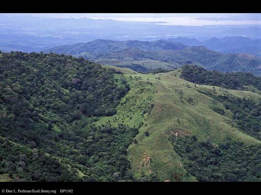 Deforestation and forest patches, Costa Rica