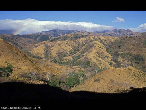 Deforestation during the dry season, Costa Rica