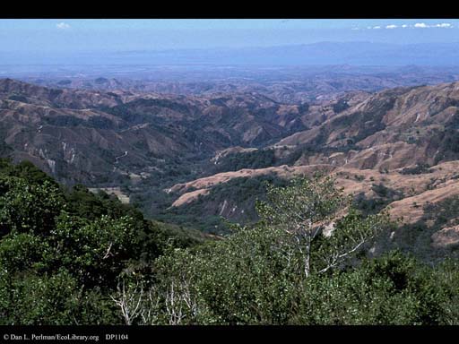 Deforestation during the dry season, Costa Rica