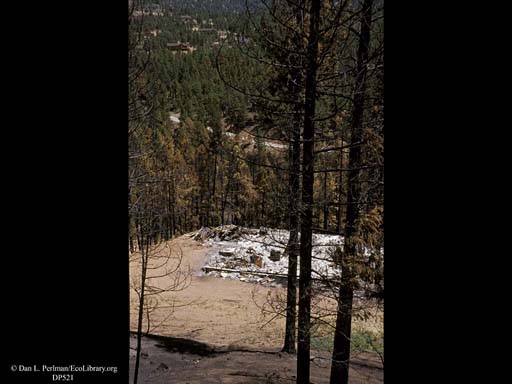 Forest fire: incinerated home