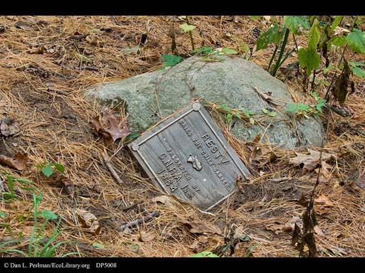 Plaque at site where the oak tree stood