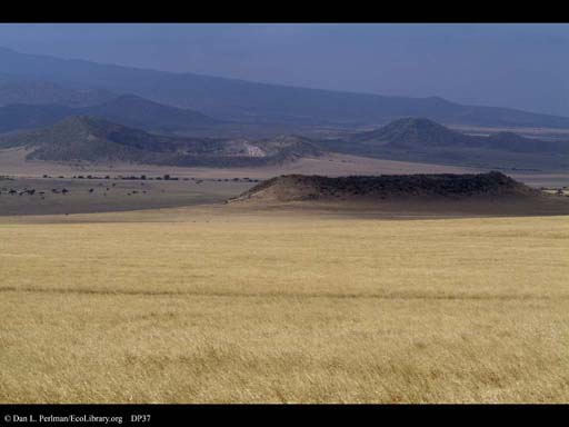 Grassland and extinct volcanoes, Tanzania