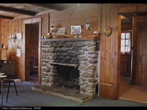 Lumber from 1938 hurricane, New England, USA