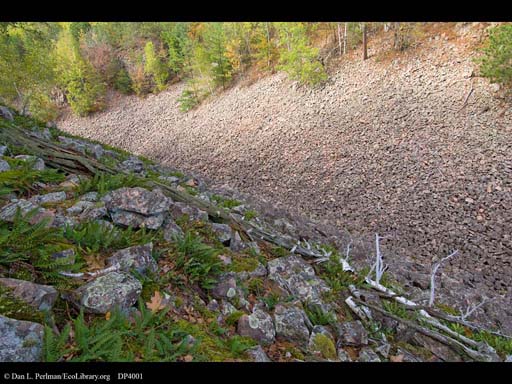 Extreme microclimate variation in a felsenmeer, Wisconsin, USA