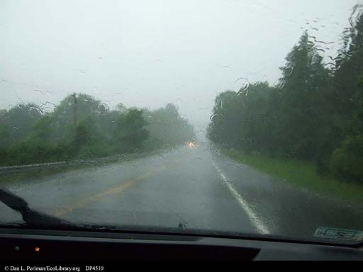 NY City water rain in Rondout Valley