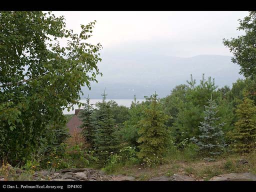Site of a proposed development overlooking Ashokan Reservoir