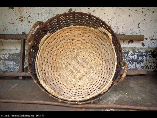 Rattan baskets, India