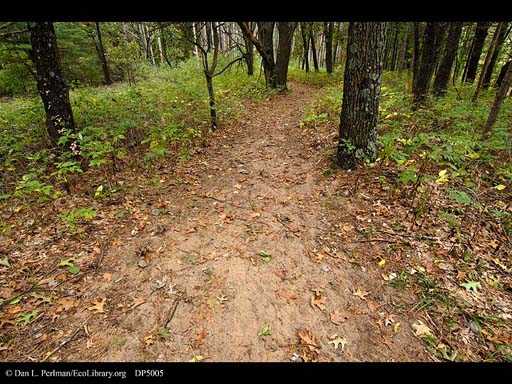 Sand County Soil, Aldo Leopold's Shack, Wisconsin