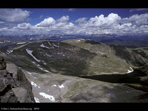 Tundra, Mount Evans Summit, Colorado