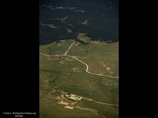 Urban sprawl reaching into forest (aerial), Western USA