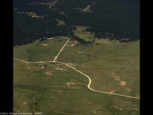 Urban sprawl reaching into forest (aerial), Western USA
